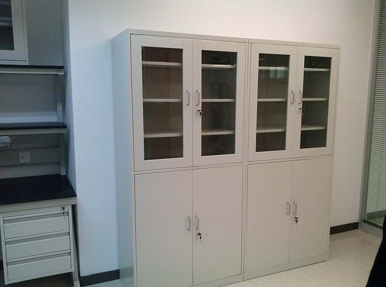 Medical Cupboard/Sample Cabinet/Reagent Cabinet