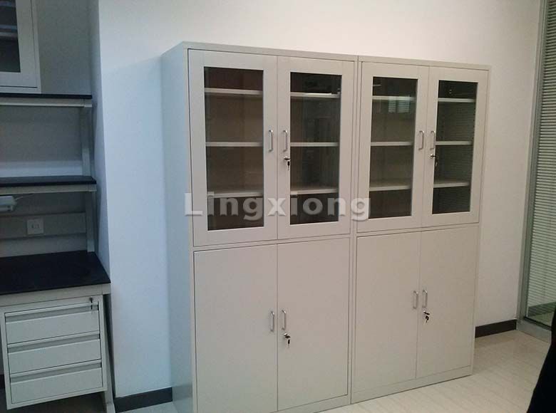 Medical Cupboard/Sample Cabinet/Reagent Cabinet