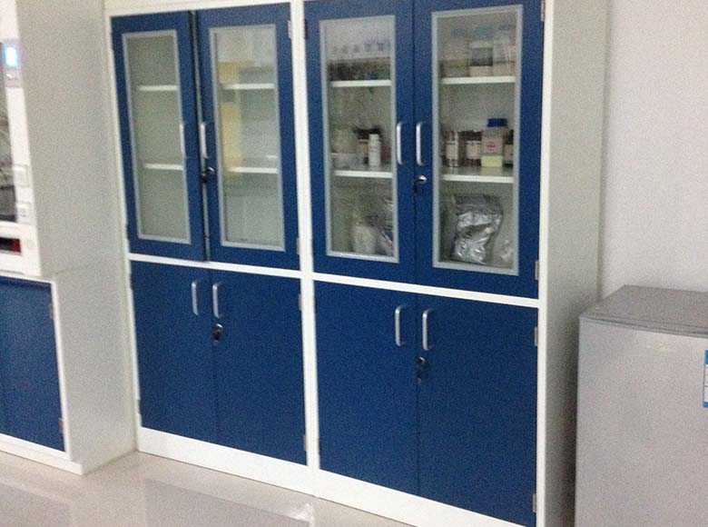 Medical Cupboard/Sample Cabinet/Reagent Cabinet