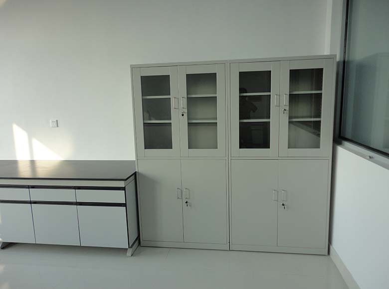 Medical Cupboard/Sample Cabinet/Reagent Cabinet