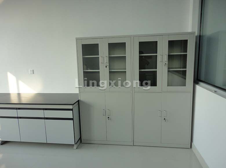 Medical Cupboard/Sample Cabinet/Reagent Cabinet