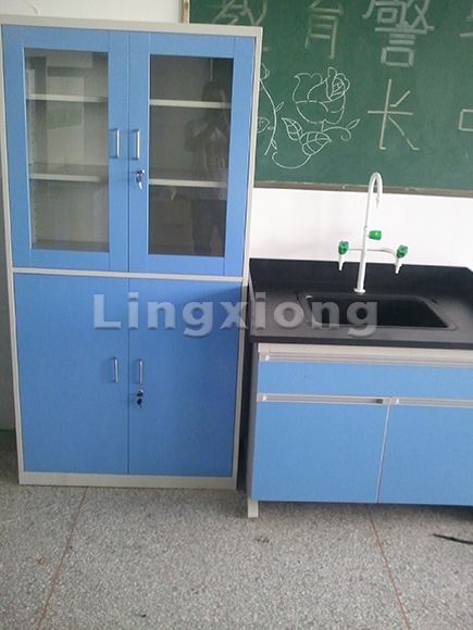 Medical Cupboard/Sample Cabinet/Reagent Cabinet