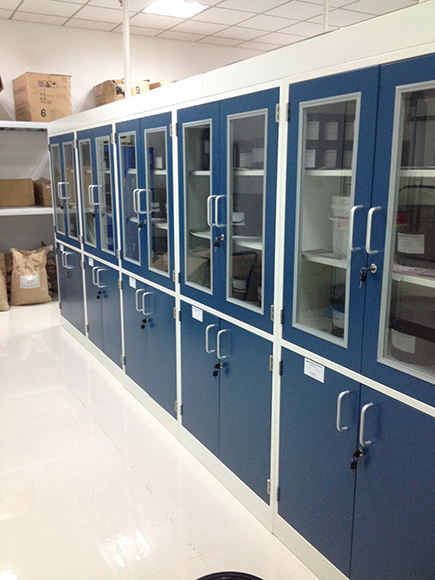 Medical Cupboard/Sample Cabinet/Reagent Cabinet