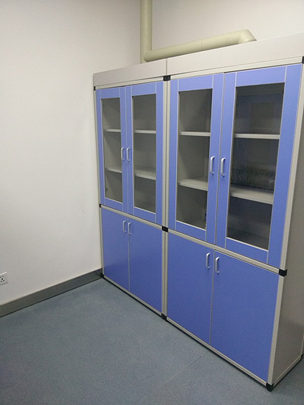 Medical Cupboard/Sample Cabinet/Reagent Cabinet