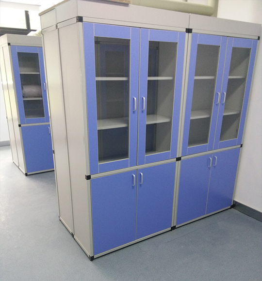 Medical Cupboard/Sample Cabinet/Reagent Cabinet