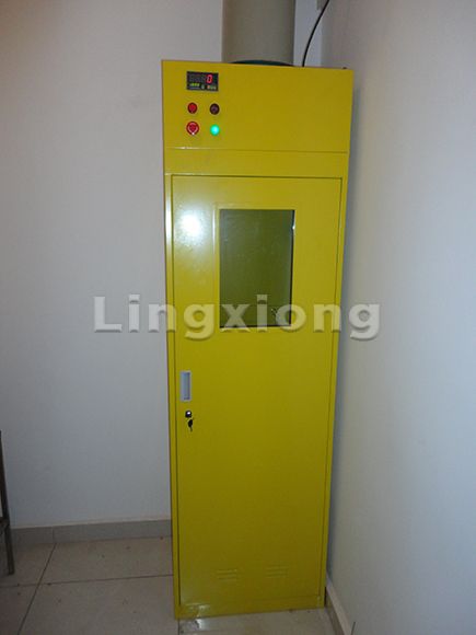 Gas Cylinder Cabinet